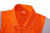 COVFRAS01 Viper-neck COVFRAS01 Viper-neck